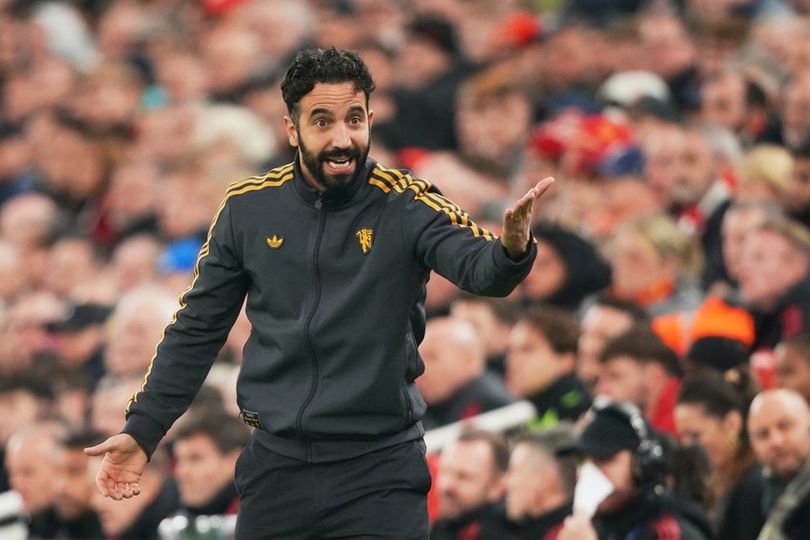 Manchester United vs Brighton